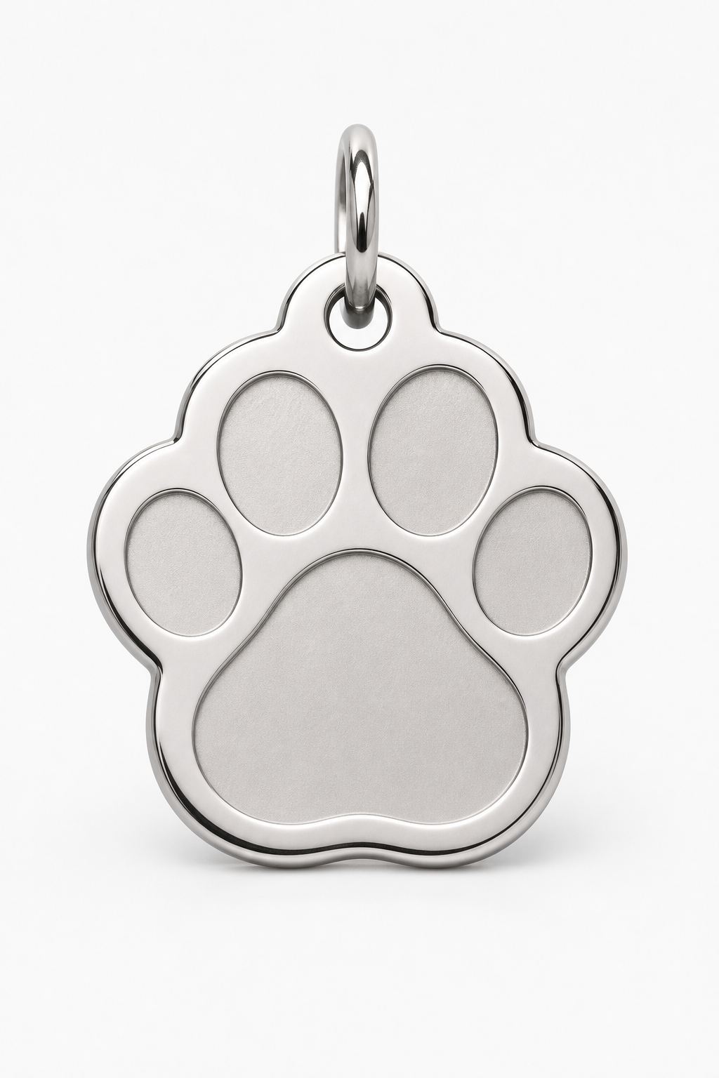 TASHVII custom stainless steel pet tag hero studio shot on white background